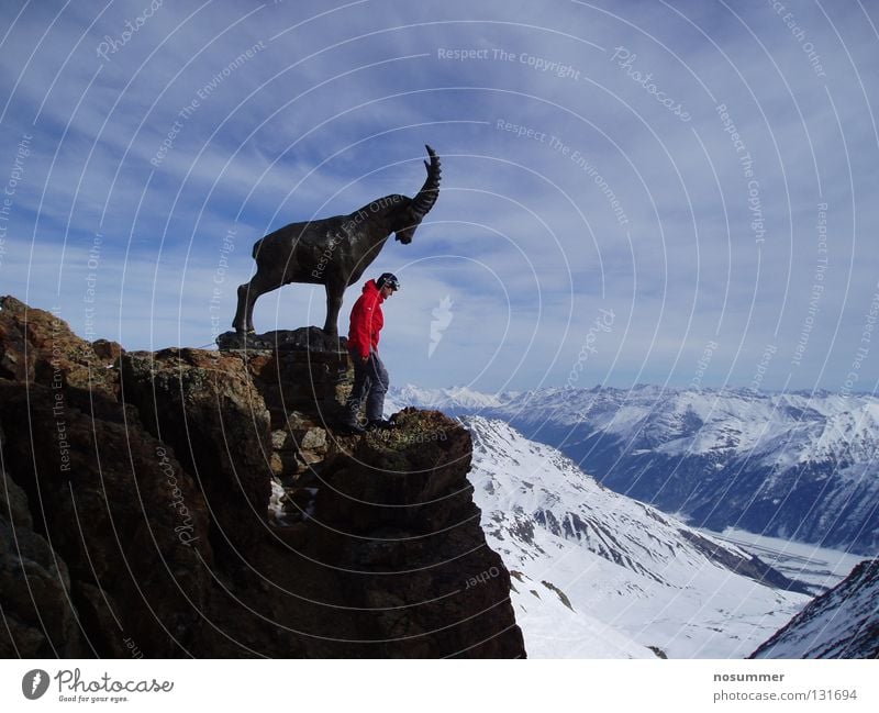 St. Moritz Piz Nair Steinbock Gemse Engadin Blick Winter Schweiz Panorama (Aussicht) Gipfel Wolken Himmel Wintersport Berge u. Gebirge Tal Corviglia Schnee