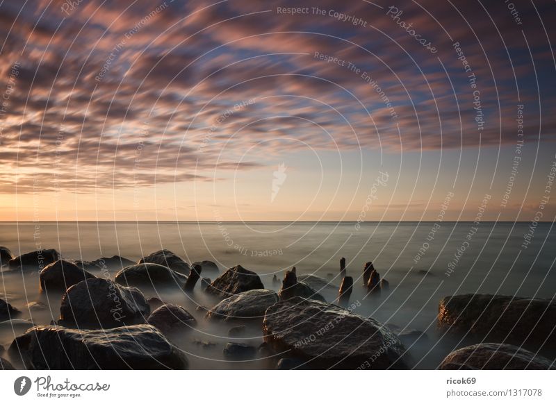 Ostseeküste Strand Natur Landschaft Wasser Wolken Küste Meer Stein Romantik Idylle Ferien & Urlaub & Reisen Tourismus Buhne Sonnenuntergang Himmel dramatisch