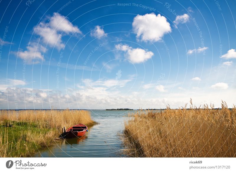 Am Bodden Ferien & Urlaub & Reisen Natur Landschaft Wasser Wolken See Wasserfahrzeug blau gelb rot Romantik Idylle Tourismus Schilfrohr Gewässer Himmel