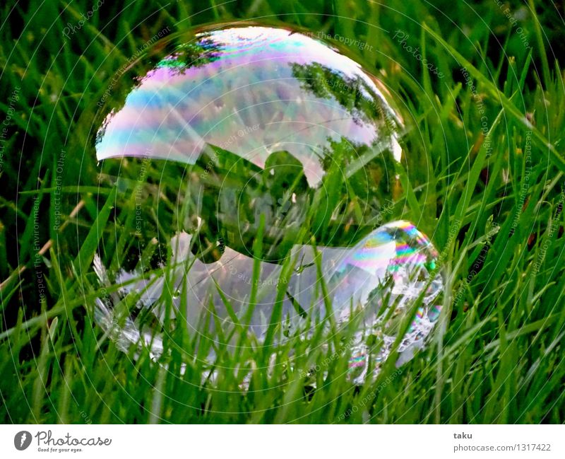 HOUSE IN BUBBLE Spielen Kinderspiel Zirkus Spielzeug Luftballon Kugel dünn rund grün violett rosa Freude Seifenblase Seifenschaum Farbfoto Außenaufnahme