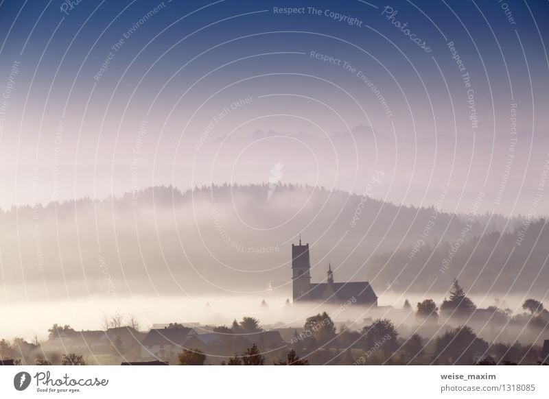 Morgen in Kleinpolen Umwelt Natur Landschaft Pflanze Erde Luft Himmel Wolken Sonnenaufgang Sonnenuntergang Herbst Klima Wetter Schönes Wetter Nebel Baum Gras