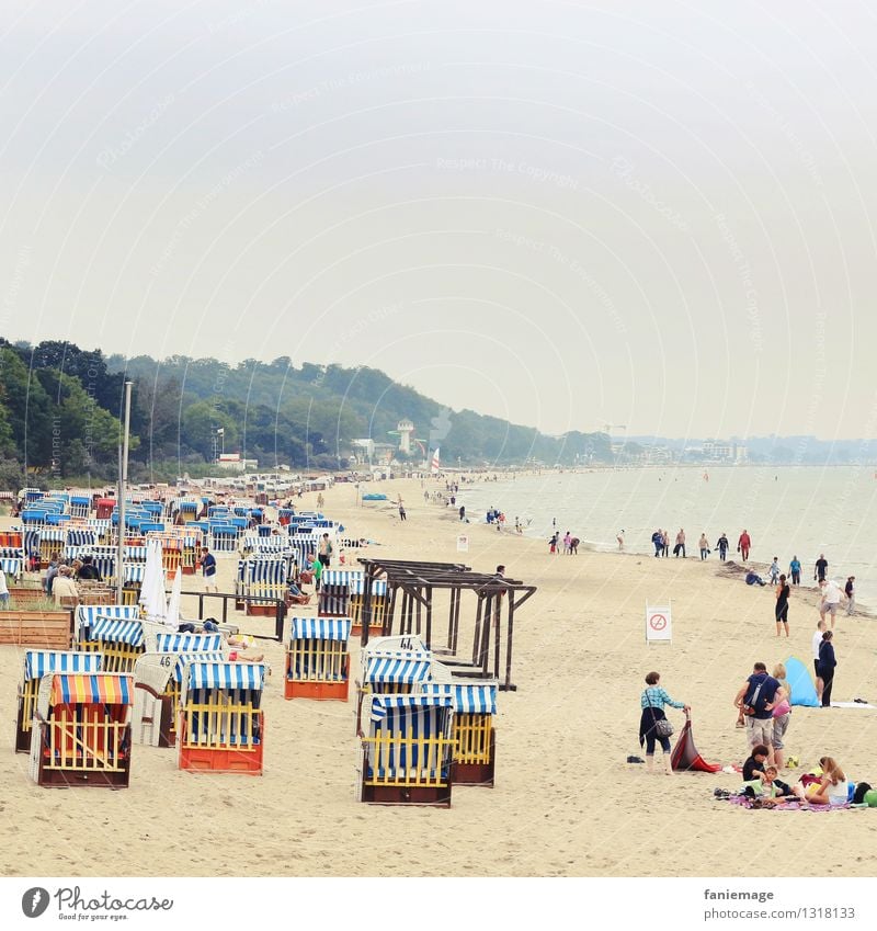 Timmendorfer Strand Erholung Natur Landschaft Sand Sommer schön Wolken Dunst Ostsee Strandkorb Spaziergang Meer Deutschland blau kalt Idylle Uferpromenade