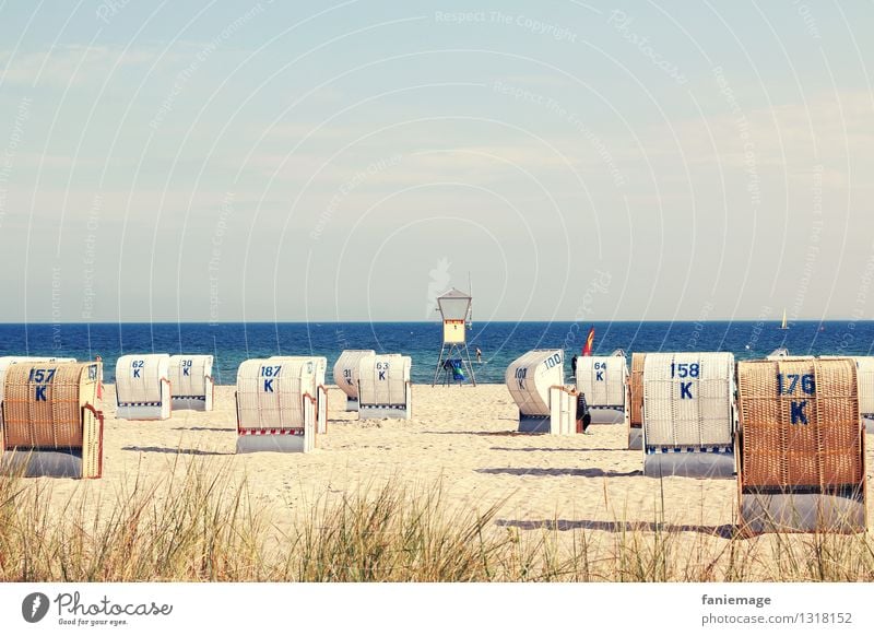 aufgeräumter Ostseestrand Natur Landschaft Sand Wasser Himmel Sommer Schönes Wetter Küste Meer blau Strand Ostseebad Strandposten Strandkorb Pause Erholung