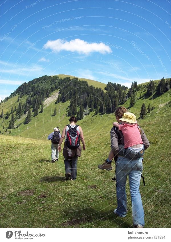 Gemeinsam Vorwärts wandern Ferien & Urlaub & Reisen Zusammensein Schweiz Wolken schön geführt Träger zielstrebig Wald Berghang Gras frisch grün flach Wiese