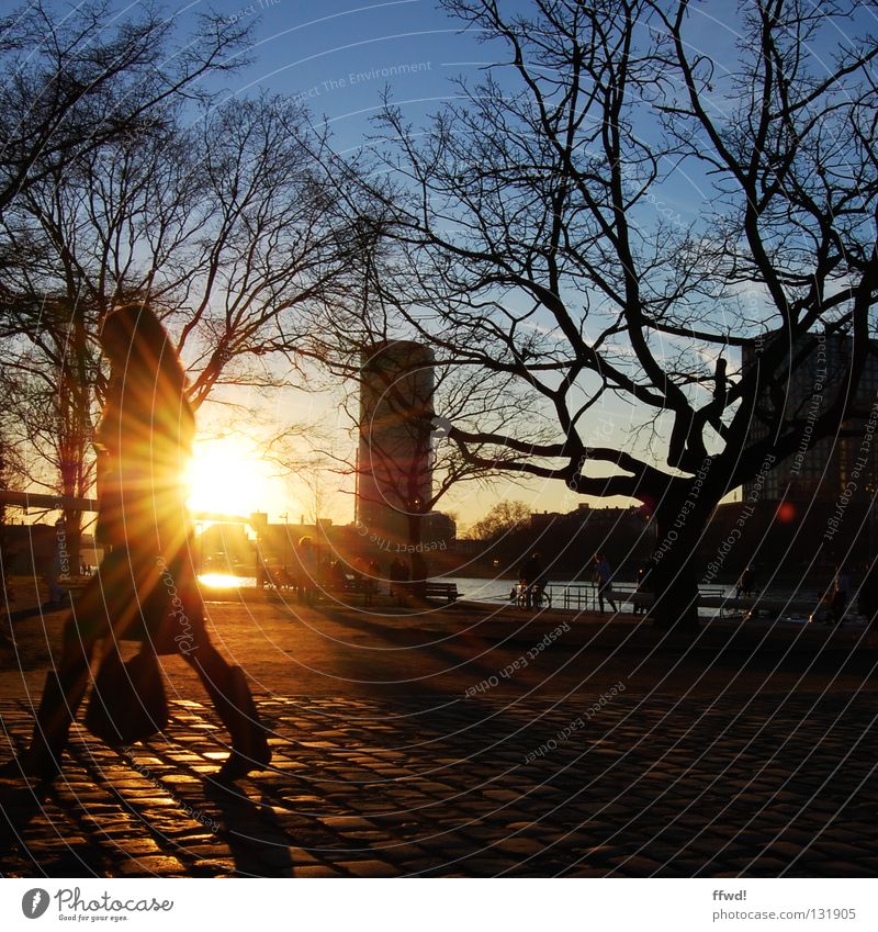 promenade Gegenlicht Sonnenuntergang Dämmerung Abenddämmerung Stimmung Abendsonne Frau Handtasche Silhouette Baum pflastern Spaziergang gehen ausgehen