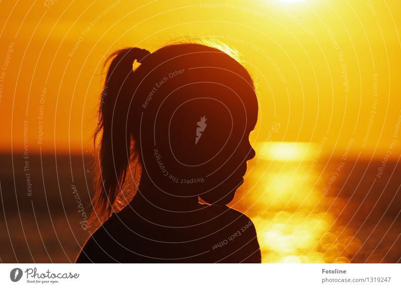 Mädchensilhouette am Meer im Sonnenuntergang Mensch feminin Kind Kindheit Kopf Haare & Frisuren Nase 1 Urelemente Wasser Sommer Schönes Wetter Wärme Küste nah