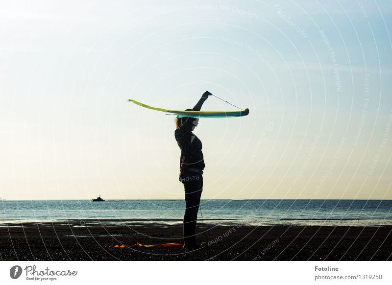 Strandgymnastik Mensch feminin Junge Frau Jugendliche 1 Umwelt Natur Landschaft Urelemente Erde Wasser Himmel Wolkenloser Himmel Horizont Sommer Schönes Wetter