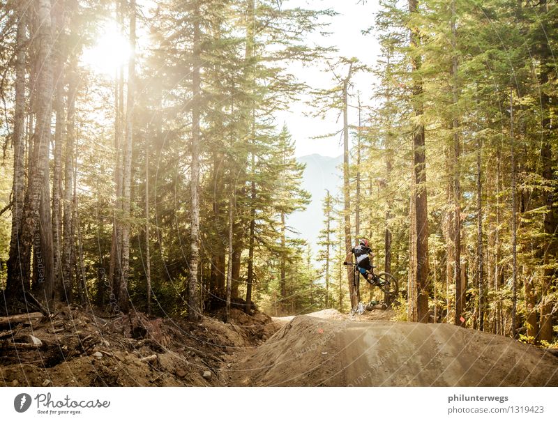 Flying high Lifestyle Freizeit & Hobby Ferien & Urlaub & Reisen Abenteuer Ferne Sportler Fahrradfahren Bikepark Jugendliche 1 Mensch Umwelt Schönes Wetter Wald