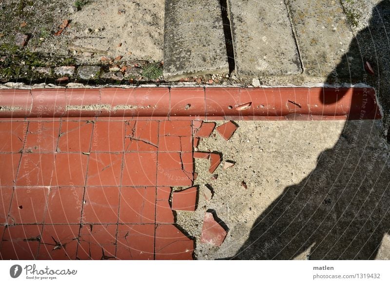 selfie maskulin Körper 1 Mensch Industrieanlage Ruine Stein Beton Backstein braun rot schwarz Fotograf Fliesen u. Kacheln Holzbrett Selfie Farbfoto