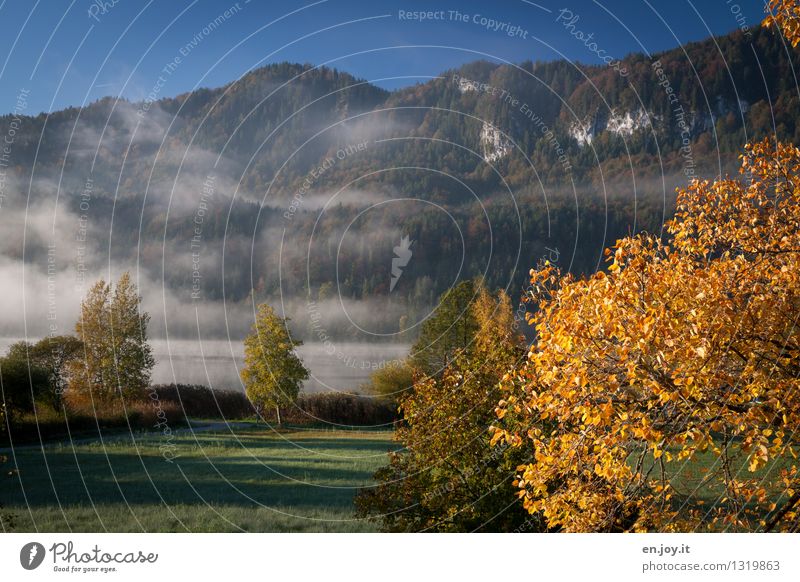 nöblick Ferien & Urlaub & Reisen Ausflug Berge u. Gebirge Natur Landschaft Pflanze Himmel Sonnenlicht Herbst Klima Wetter Nebel Herbstlaub Wald Hügel Alpen See