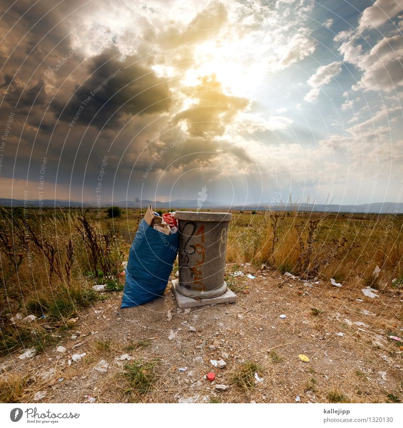 jenseits der autobahn Umwelt Natur Landschaft Pflanze Tier Erde Sand Luft Himmel Wolken Gewitterwolken Sonne Wetter Sturm Regen Gras Sträucher Hügel