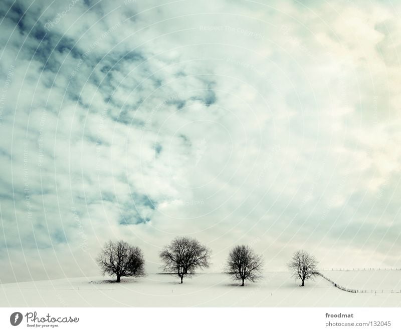 four of a kind Schweiz Hügel Baum laublos kalt Wolken sehr wenige 4 Zaun Schwung Hintergrundbild Winter Sauberkeit aufräumen ruhig Erholung weiß Einsamkeit