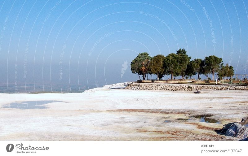 Sinterterrassen Türkei Pamukkale Ferien & Urlaub & Reisen weiß Baum Luft Horizont Kalk Park Stein Mineralien Schifffahrt Bodenbelag Aktien Himmel heißes Wasser