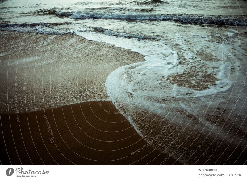 Water's Edge lll Umwelt Natur Urelemente Sand Wasser Klimawandel Wellen Küste Strand Meer Bewegung elegant Flüssigkeit frisch maritim wild blau braun gold grün