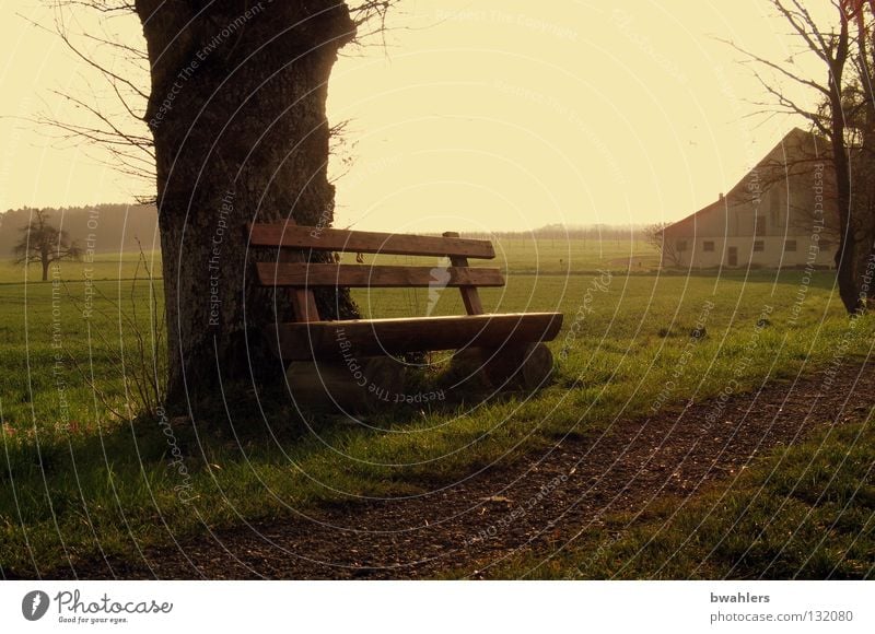 auf dem Land 2 Landwirtschaft Bauernhof Baum Morgen Licht Wiese ruhig Einsamkeit Frieden Gegenlicht Gras grün Haus Stall Amerika Bank Morgendämmerung Himmel