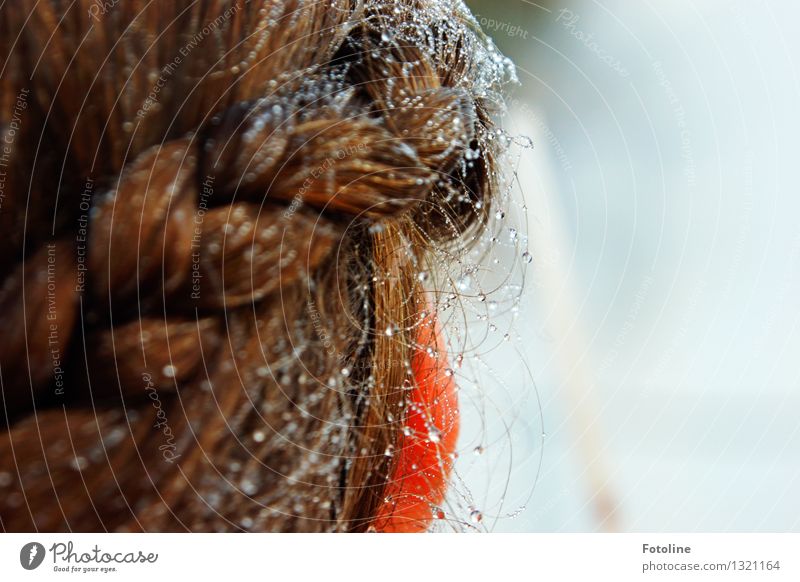 Haarschmuck Mensch feminin Kind Mädchen Kopf Haare & Frisuren Ohr 1 Urelemente Wasser Wassertropfen frisch nah nass natürlich geflochten Farbfoto mehrfarbig