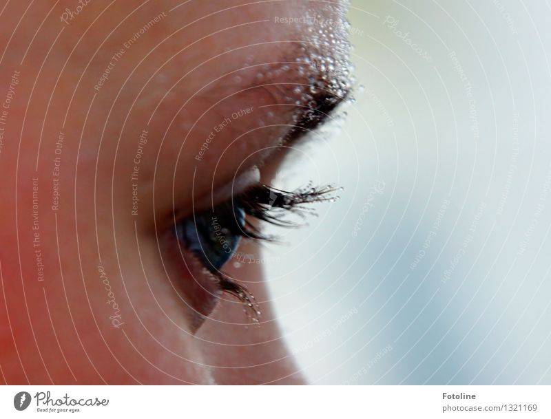 Augenblick Mensch feminin Kind Mädchen Gesicht 1 Urelemente Wasser Wassertropfen nah nass natürlich Wimpern Augenbraue Blick Momentaufnahme Farbfoto mehrfarbig