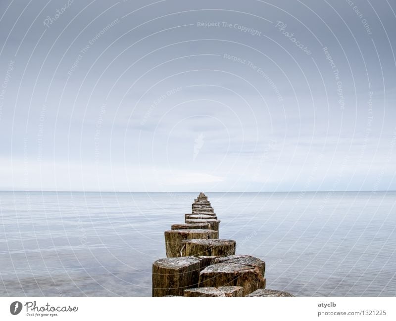 Baltic Wasser Himmel Wellen Küste Ostsee Holz Schwimmen & Baden wandern natürlich Zufriedenheit Lebensfreude Umwelt Umweltschutz Farbfoto Gedeckte Farben