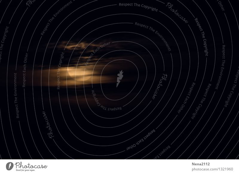 Versteckt Umwelt Luft Himmel Wolken Gewitterwolken Nachthimmel Mond Vollmond schlechtes Wetter dunkel gruselig rund schwarz Stimmung Angst Todesangst gefährlich