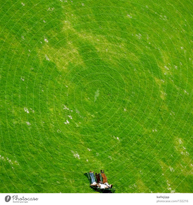 bildunterkantechillen Ruhestand Kapitalwirtschaft Student Studium Pause Bildung Freizeit & Hobby Ferien & Urlaub & Reisen Kredit Wiese einzeln Gras Feld grün