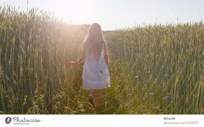 Träumen Glück Freizeit & Hobby Sommer Mädchen 1 Mensch 3-8 Jahre Kind Kindheit Sonnenlicht Wärme Feld Denken laufen leuchten Gesundheit natürlich Gefühle