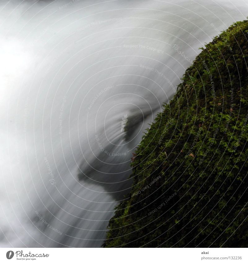 Hydrodynamik schön Berge u. Gebirge Landschaft Wasser Bach Wasserfall kalt weich blau Wildbach Schwarzwald Mittelgebirge graufilter Langzeitbelichtung Dreisam