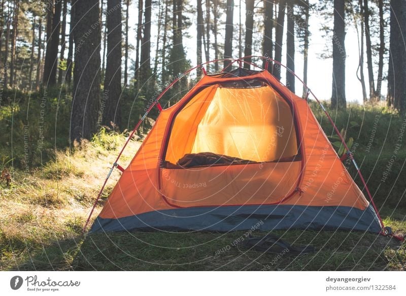 Zelt im Wald am Sonnenlicht. schön Erholung Freizeit & Hobby Ferien & Urlaub & Reisen Tourismus Ausflug Abenteuer Camping Sommer wandern Natur Landschaft Baum