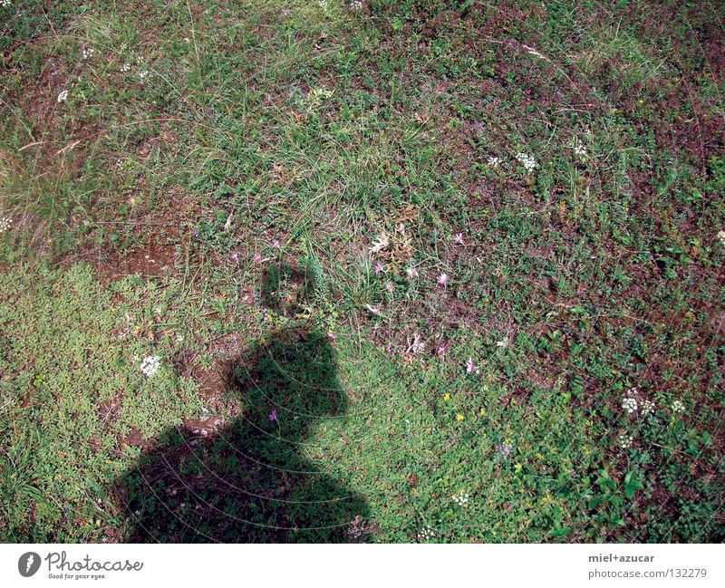 schatten im gras Freude Sommer Natur Wiese grün Heiligenschein Fantasygeschichte Schatten