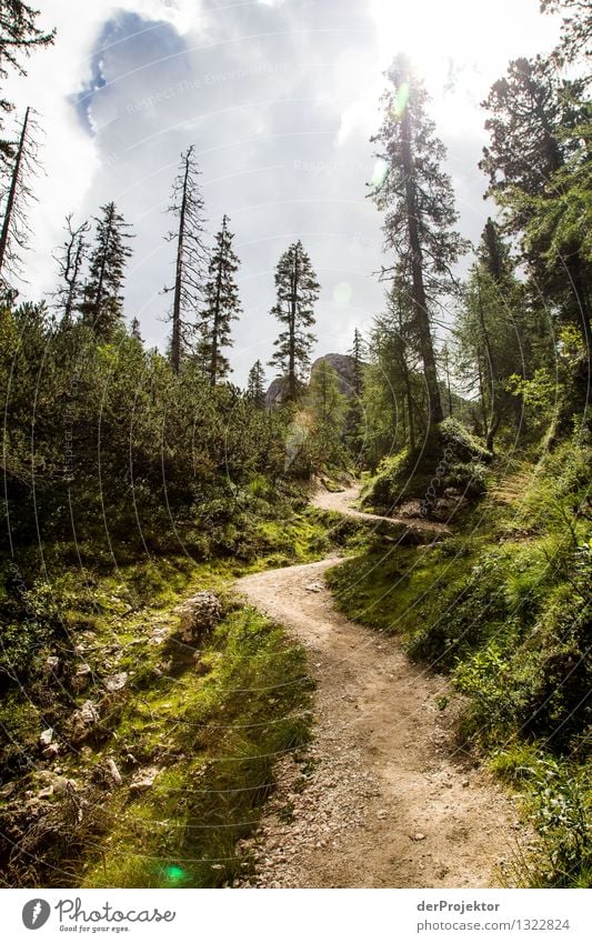 Nicht immer: Der Weg ist das Ziel Ferien & Urlaub & Reisen Tourismus Ausflug Abenteuer Ferne Freiheit Camping Sommerurlaub Berge u. Gebirge wandern Umwelt Natur