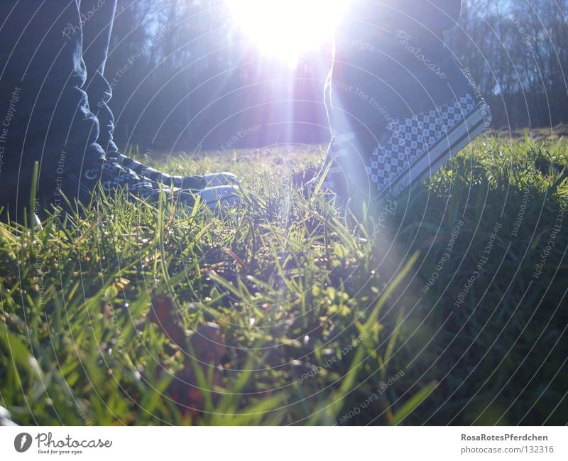 together Sonne Freundschaft schön Zusammensein Schuhe Außenaufnahme Frühling Sommer Geborgenheit Gras klein groß Zuneigung Liebe Graß Stern (Symbol) Jugendliche