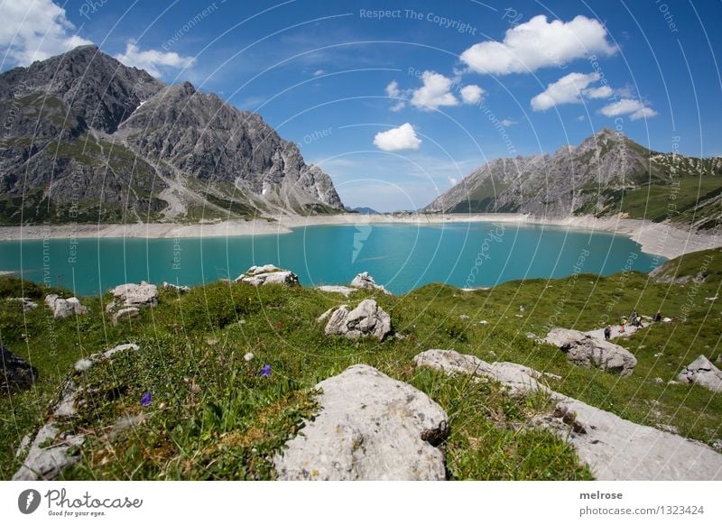 Heimat III Ferien & Urlaub & Reisen Tourismus Berge u. Gebirge wandern Natur Landschaft Wasser Himmel Wolken Sommer Schönes Wetter Wildpflanze Bergwiese Blumen