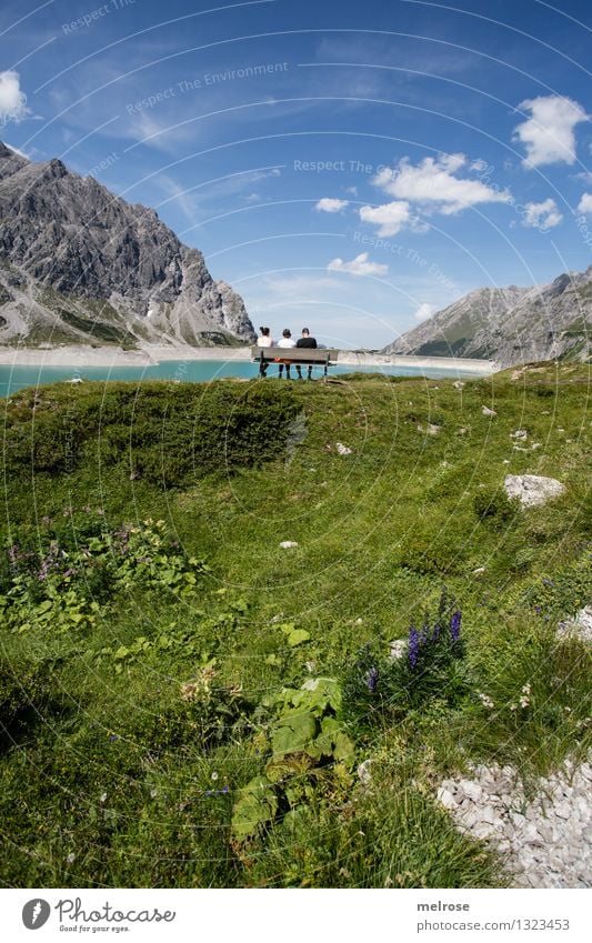 Genuss pur Tourismus Berge u. Gebirge wandern Mensch 3 45-60 Jahre Erwachsene Natur Landschaft Erde Wasser Himmel Wolken Sommer Schönes Wetter Blume Wildpflanze