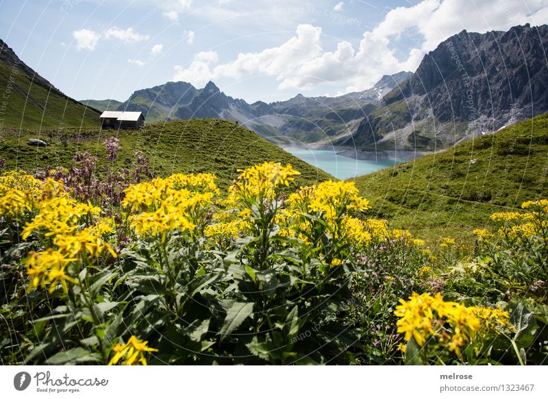 Heimat IV Ferien & Urlaub & Reisen Tourismus Berge u. Gebirge wandern Natur Landschaft Wasser Himmel Wolken Sommer Gras Sträucher Wildpflanze Bergwiese