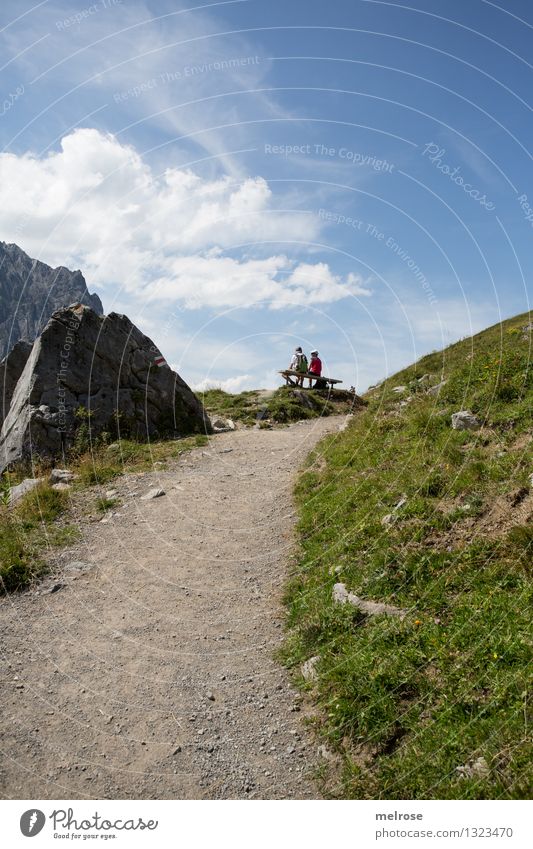 so schööööööööö Tourismus Sommerurlaub Berge u. Gebirge wandern Mensch Partner 2 45-60 Jahre Erwachsene Natur Landschaft Erde Schönes Wetter Gras Bergwiese