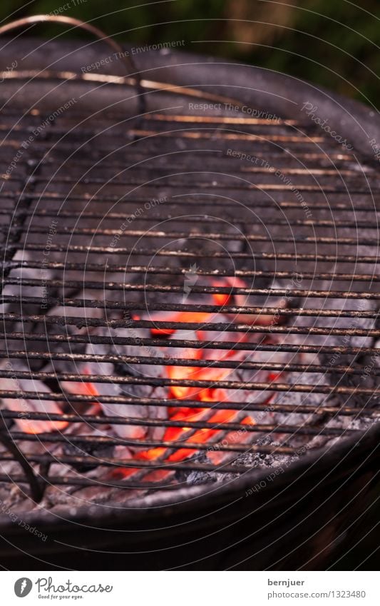 Leer Lebensmittel authentisch Billig heiß rot schwarz Selbstlosigkeit Wahrheit Kohle Glut Feuer Grill Grillrost Grillen Menschenleer Holzkohle Kugelgrill Rost