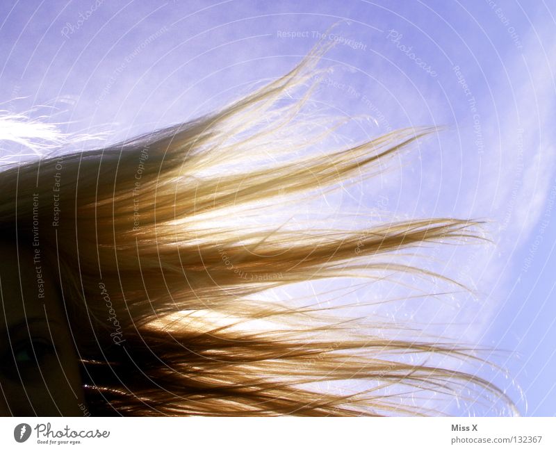 Sonntag, 20 Grad, die Frisur hält Farbfoto Außenaufnahme Sonnenstrahlen Blick Haare & Frisuren Sommer Frau Erwachsene Auge Himmel Wolken Schönes Wetter Wind