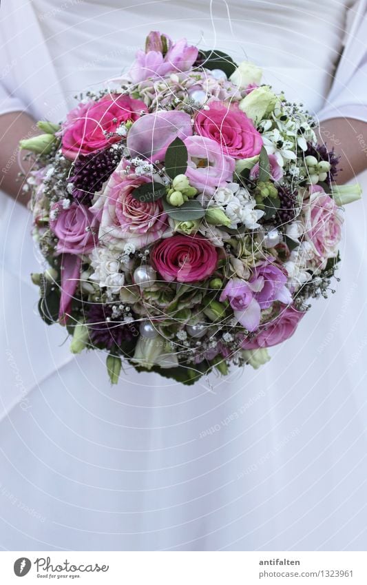 Traum | hafter Brautstrauss Hochzeit Mensch feminin Frau Erwachsene Partner Leben Körper Brust Arme 1 30-45 Jahre Blume Rose Blatt Blüte Blumenstrauß Bekleidung