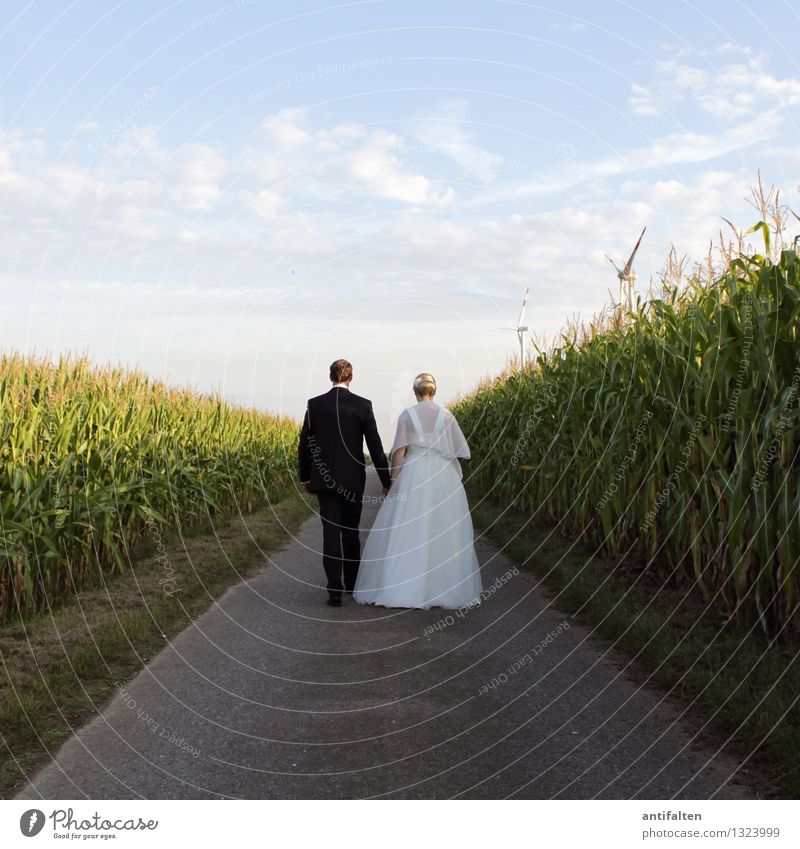 Zweisam Freude Glück Hochzeit Mensch maskulin feminin Frau Erwachsene Mann Paar Leben Körper Hand 2 30-45 Jahre Natur Himmel Sommer Schönes Wetter Feld