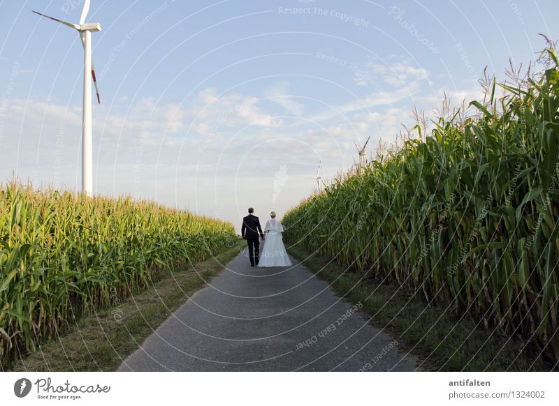 Zukunft Hochzeit Windkraftanlage Mensch maskulin feminin Frau Erwachsene Mann Paar Partner Leben 2 30-45 Jahre Natur Landschaft Sonne Sommer Schönes Wetter Feld