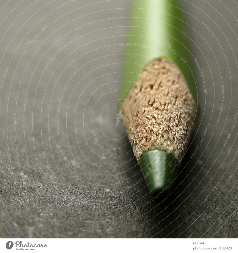 Sich vor Schreibkram drücken... Freizeit & Hobby Schreibtisch Handwerk Kunst Gemälde Schreibwaren Schreibstift Holz zeichnen schreiben Spitze grün Farbe