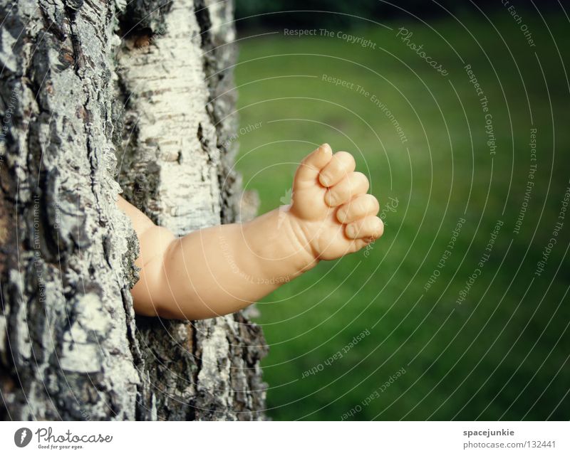 Austrieb Baum Baumrinde Holz Hand skurril Wachstum Reifezeit Frühling Blatt grün Birke Gartenarbeit Säge Faust Finger Freude Puppe Arme Statue Ast Natur alt