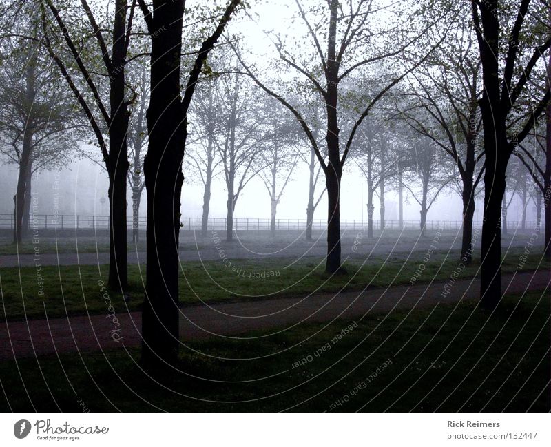 Georgengarten Erholung Baum Nebel Hannover Herrenhausen-Stöcken ruhig mystisch Romantik Kunst Freizeit & Hobby Garten Park Natur Morgenreif