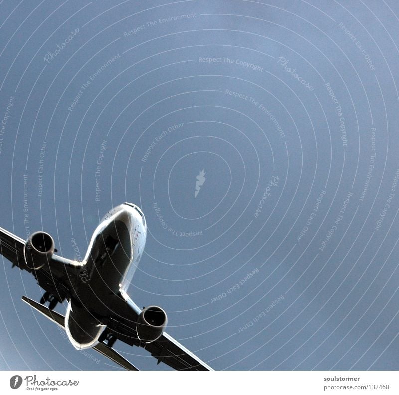 Schräglage Flugzeug Flugzeuglandung Wolken grau Wolkendecke schlechtes Wetter Ferien & Urlaub & Reisen Erholung kommen braun zurück Triebwerke Fahrwerk Mitte