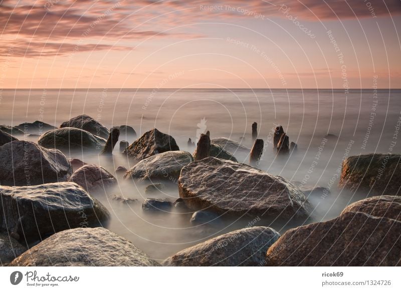 Ostseeküste Strand Natur Landschaft Wasser Wolken Felsen Küste Meer Stein Holz blau rot Romantik Idylle Ferien & Urlaub & Reisen ruhig Tourismus Buhne