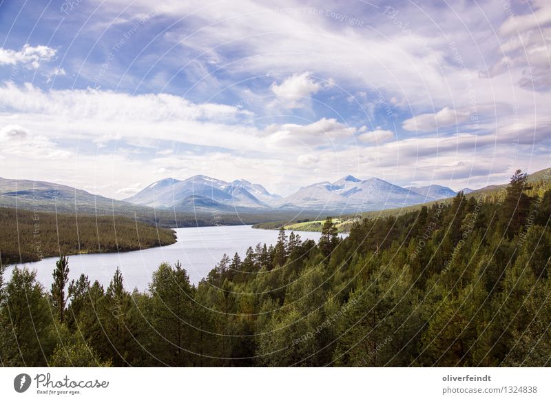 Norwegen VIII - Rondane Ferien & Urlaub & Reisen Ausflug Abenteuer Ferne Freiheit Sommer Sommerurlaub Berge u. Gebirge Umwelt Natur Landschaft Himmel Wolken