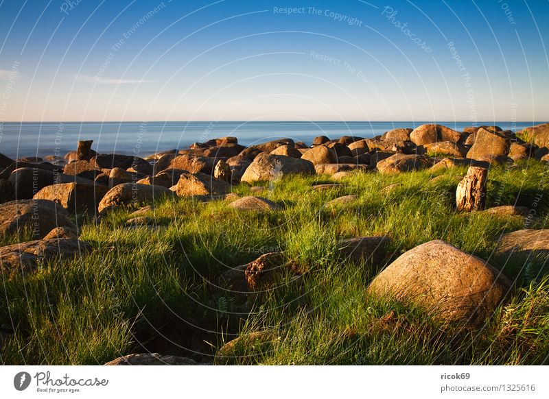 Ostseeküste Ferien & Urlaub & Reisen Strand Natur Landschaft Wasser Wolkenloser Himmel Gras Felsen Küste Meer Stein Holz blau grün Romantik Idylle ruhig