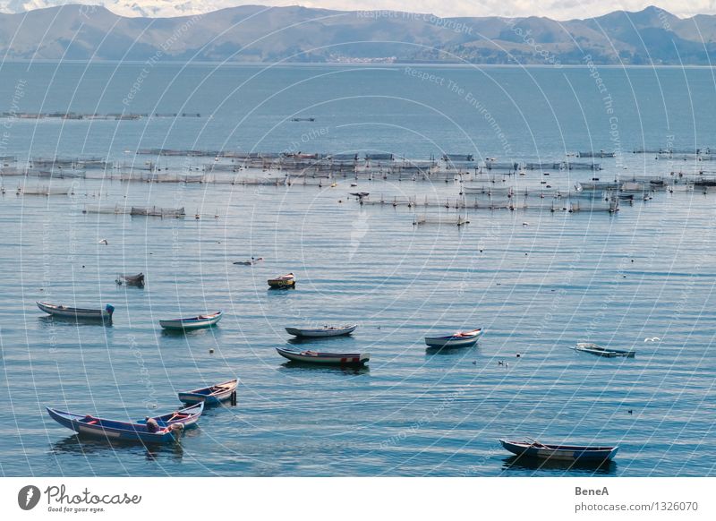 Titikakasee Angeln Fischereiwirtschaft Fischerboot Fischernetz Fischereihafen Landschaft Wasser Berge u. Gebirge Anden See Titicacasee Bolivien Peru Südamerika