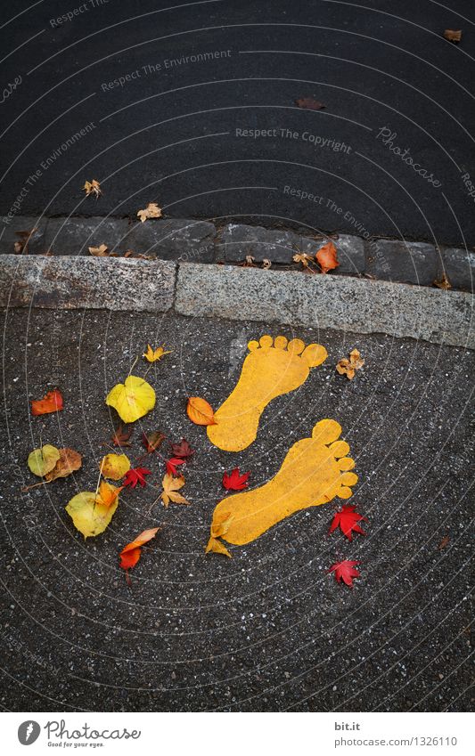 Die Zeit steht still Gesundheit Gesundheitswesen Akupunktur Oktoberfest Erntedankfest Halloween Kunst Kunstwerk Tanzen Tanzveranstaltung Herbst Straße