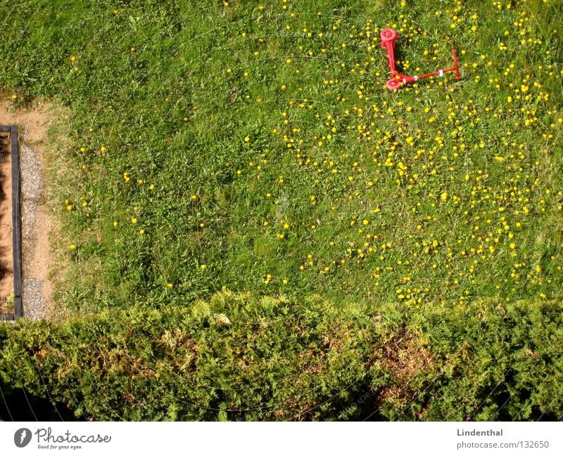 Roller im Löwenzahn Wiese rot Hecke Gras Sandkasten Sommer löwnzahn Tretroller