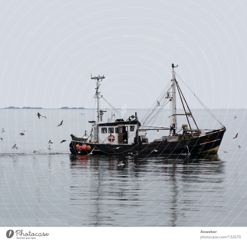 Fischkutter zwischen Sylt und Amrum Außenaufnahme Menschenleer Textfreiraum oben Textfreiraum unten Hintergrund neutral Tag Dämmerung Reflexion & Spiegelung